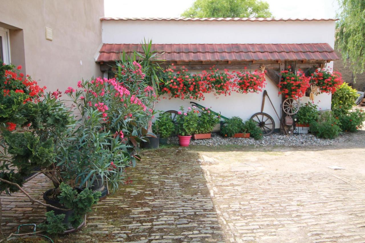 La Chambre Aux Hirondelles Ittenheim Exteriér fotografie